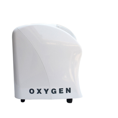 3L olives autoguident le concentrateur de l'oxygène de voiture 300 watts de puissance faible de poids léger de consommation