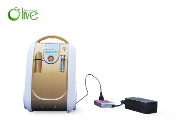 Générateur médical de l'oxygène de soins à domicile, concentrateur portatif de l'oxygène 6 LPM de flux continu