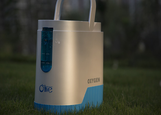 Mini concentrateur olive 90W de l'oxygène de batterie faite sur commande pour des soins de santé généraux