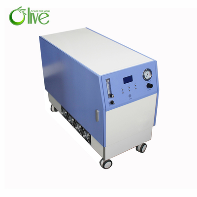 Dual Flow 10 Lpm Glass Blowing Industrial Oxygen Concentrator Low Power Consumption