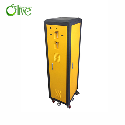 Dual Flow 10 Lpm Glass Blowing Industrial Oxygen Concentrator Low Power Consumption